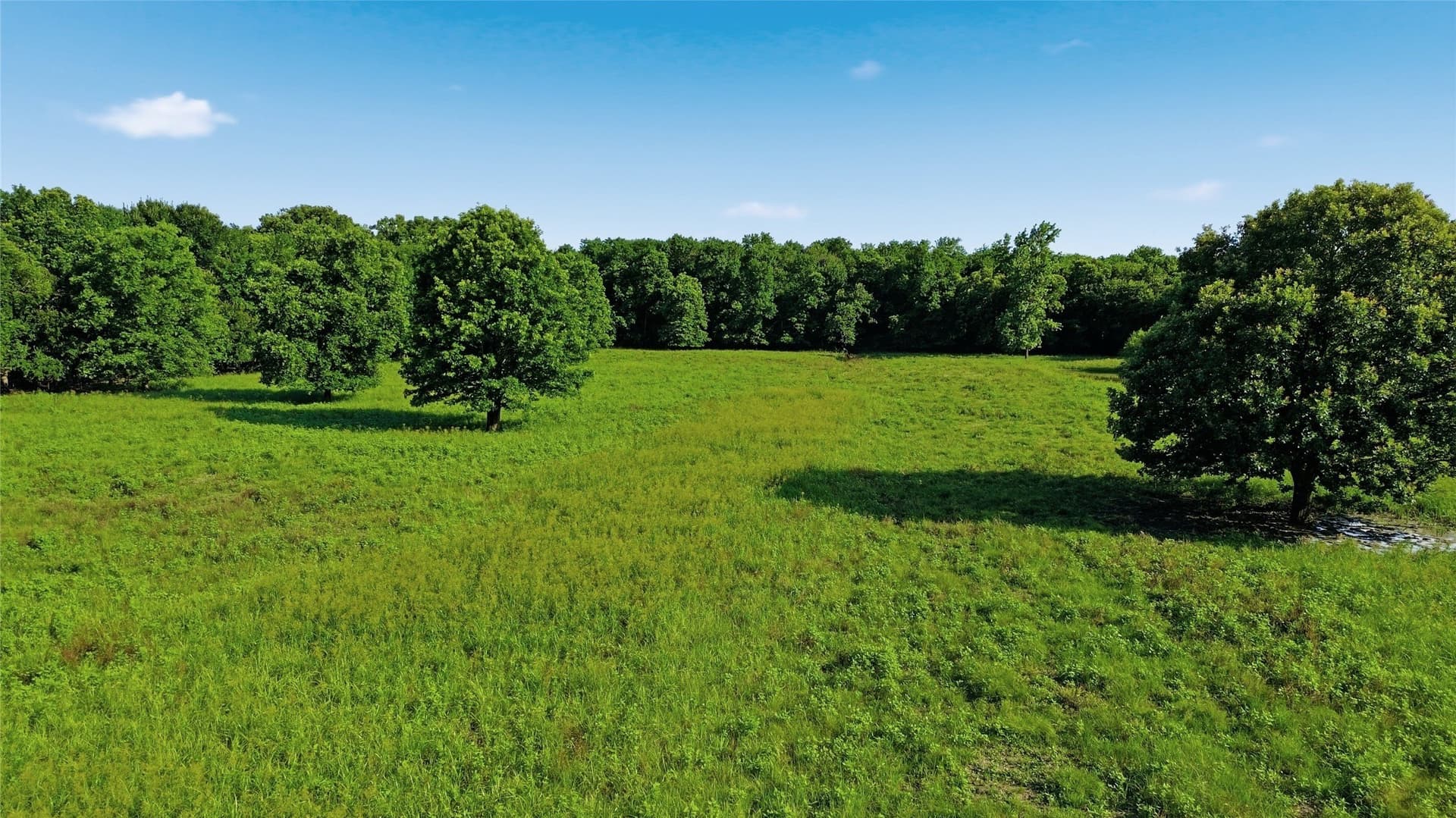 38.67 acres in Delta County - photo 33