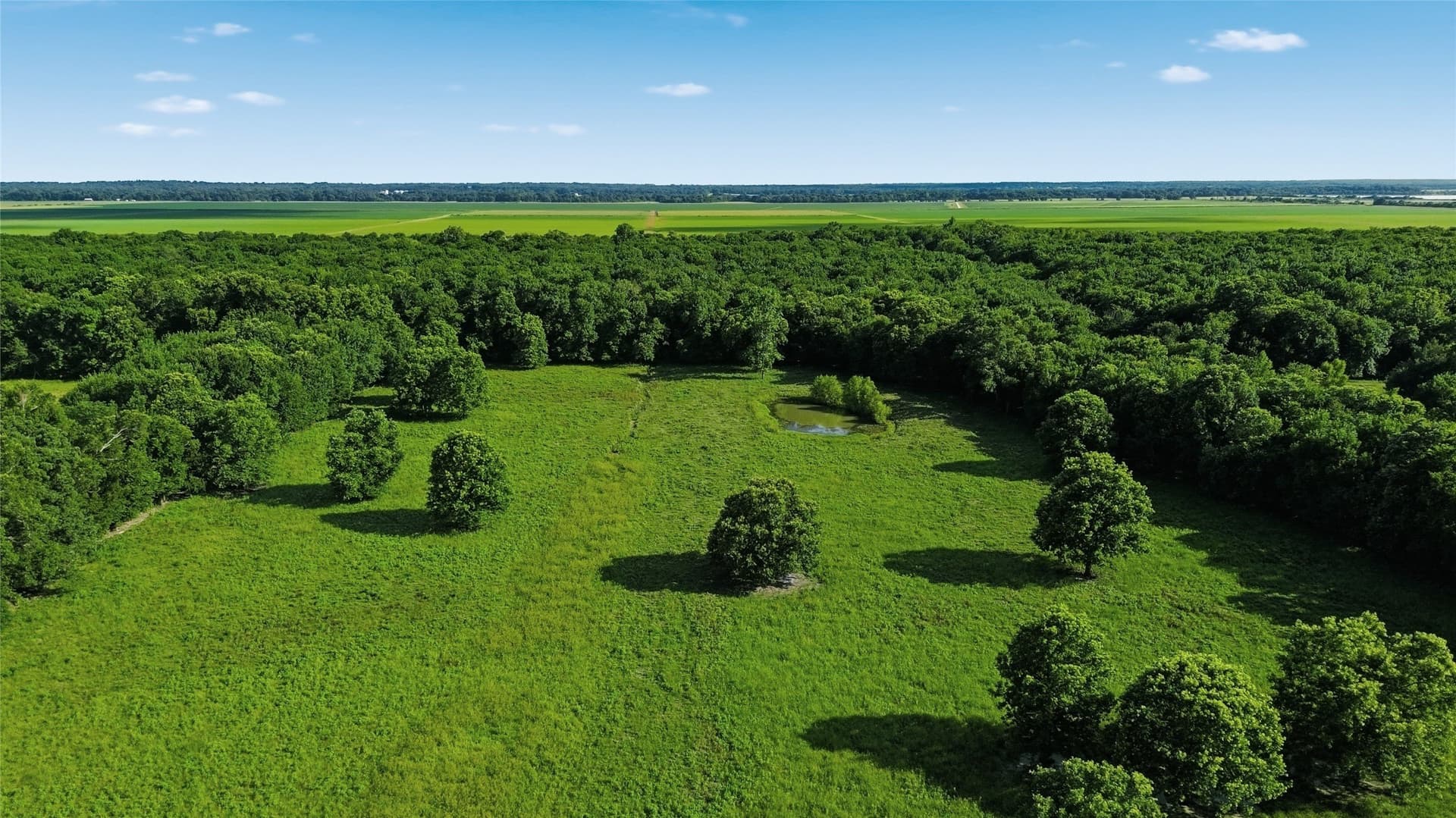 38.67 acres in Delta County gallery image 3