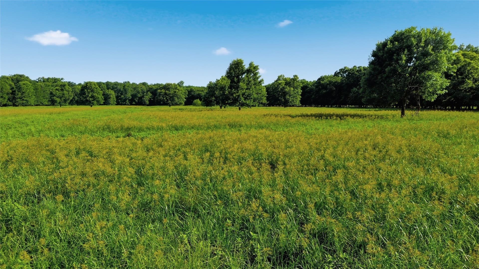 38.67 acres in Delta County - photo 34