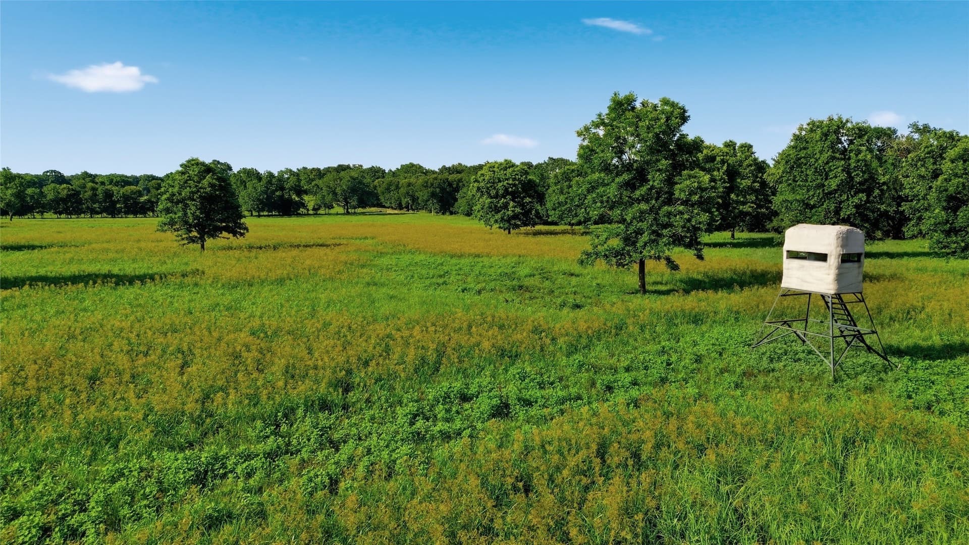 38.67 acres in Delta County gallery image 4