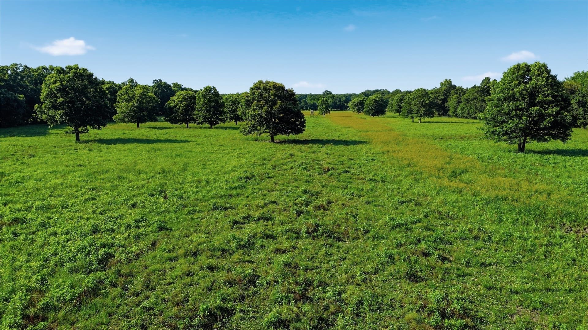 38.67 acres in Delta County - photo 30