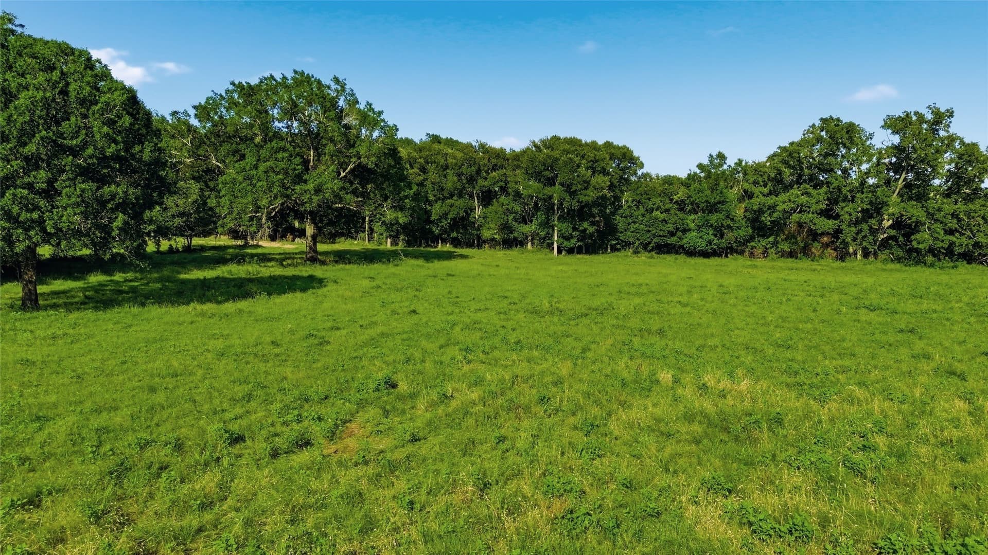 38.67 acres in Delta County - photo 6