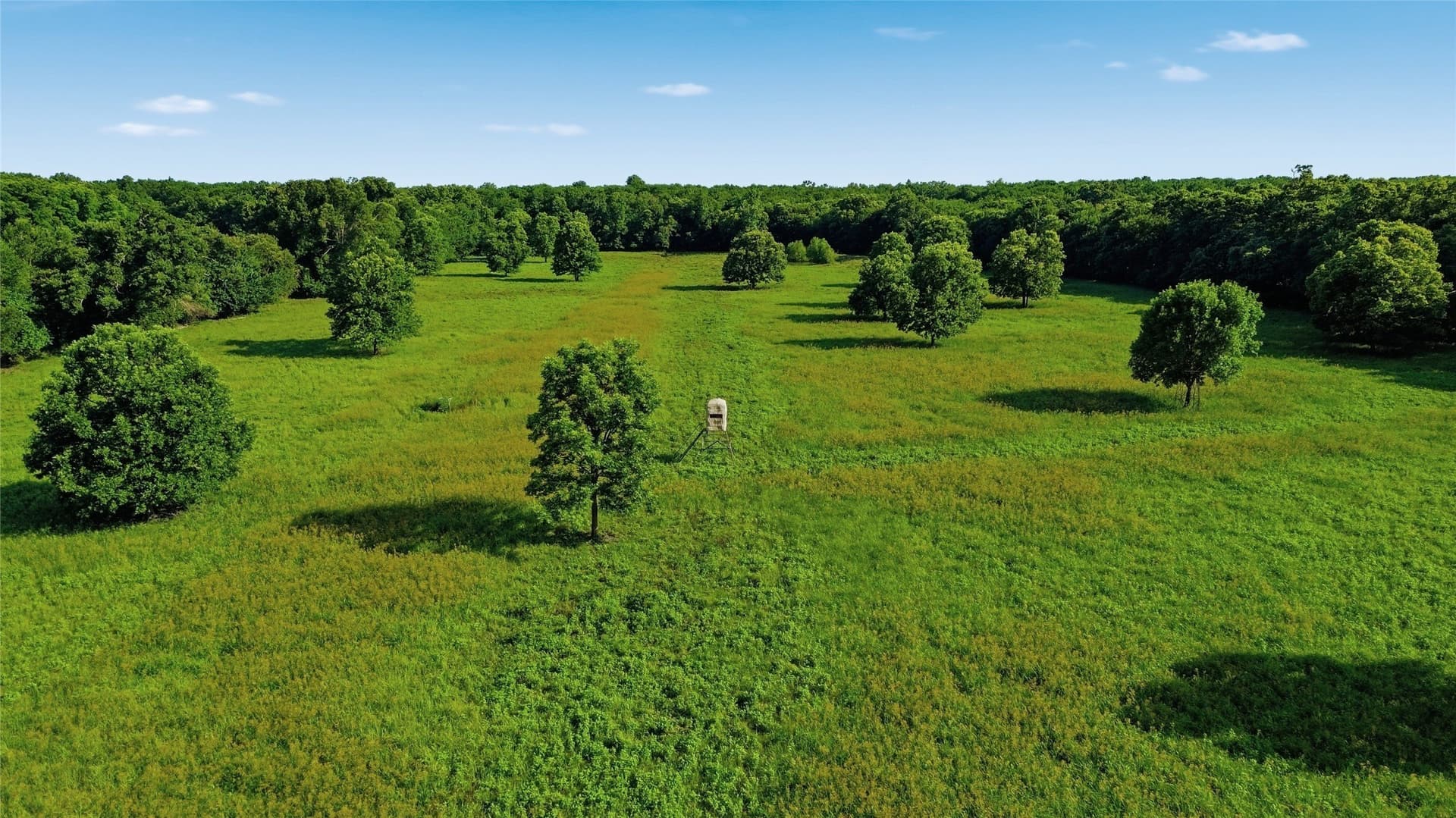 38.67 acres in Delta County - photo 27