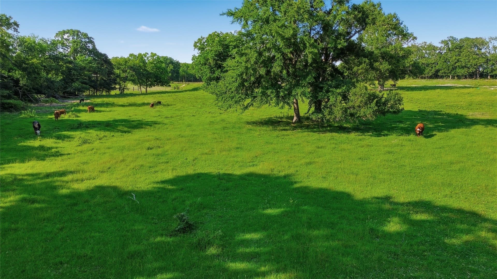 38.67 acres in Delta County - photo 36