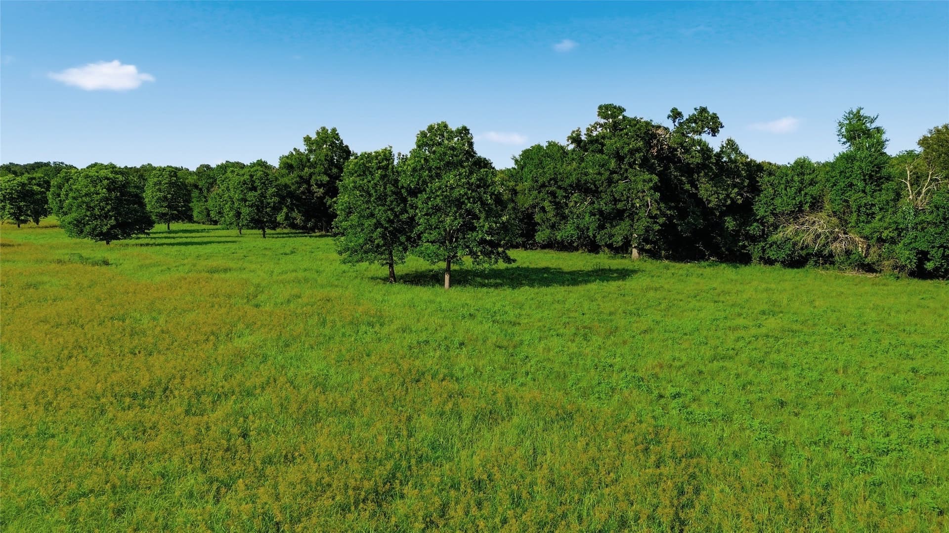 38.67 acres in Delta County - photo 32