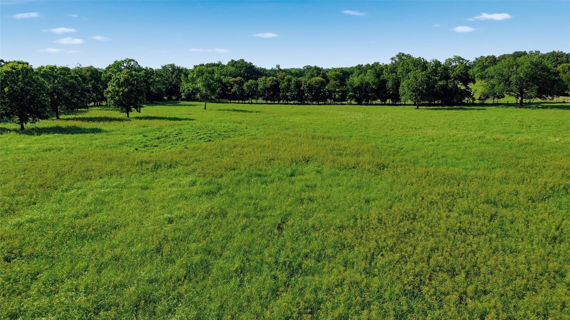 38.67 acres in Delta County - photo 26