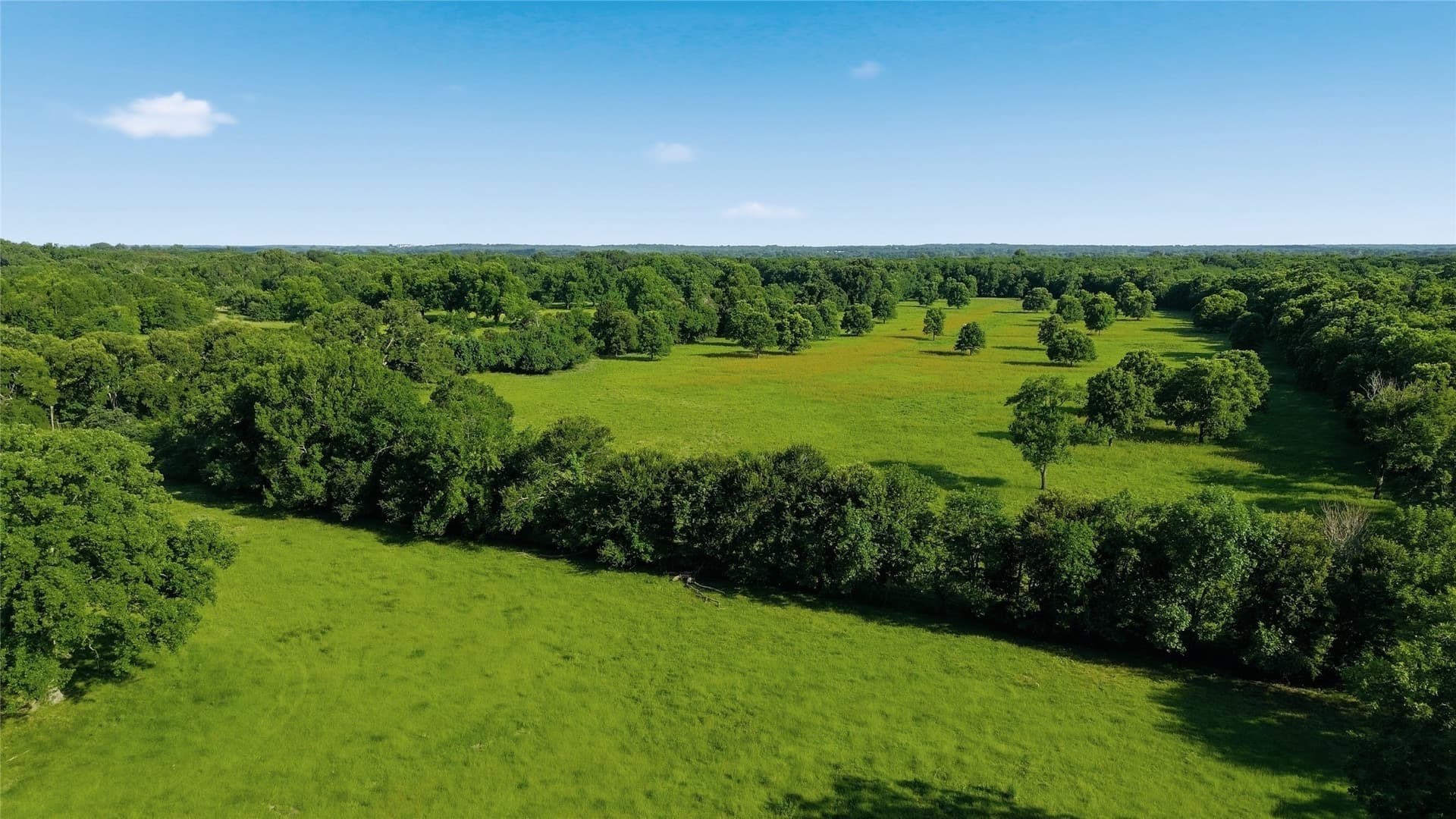 38.67 acres in Delta County - photo 37