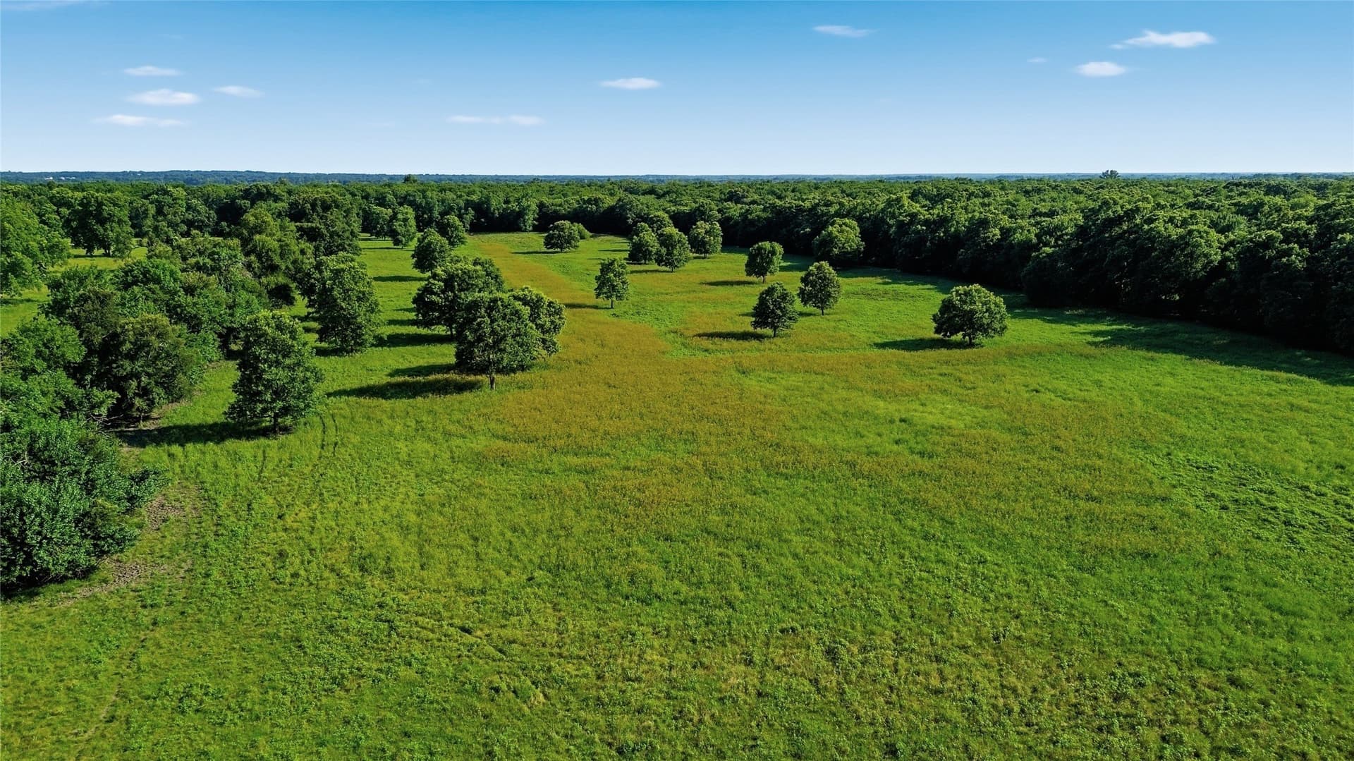 38.67 acres in Delta County - photo 25