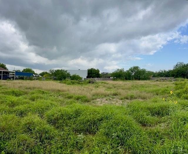 0.5 acres in Hidalgo County gallery image 3