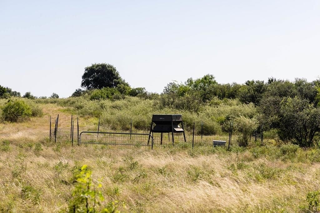 352.18 acres in Kimble County - photo 63