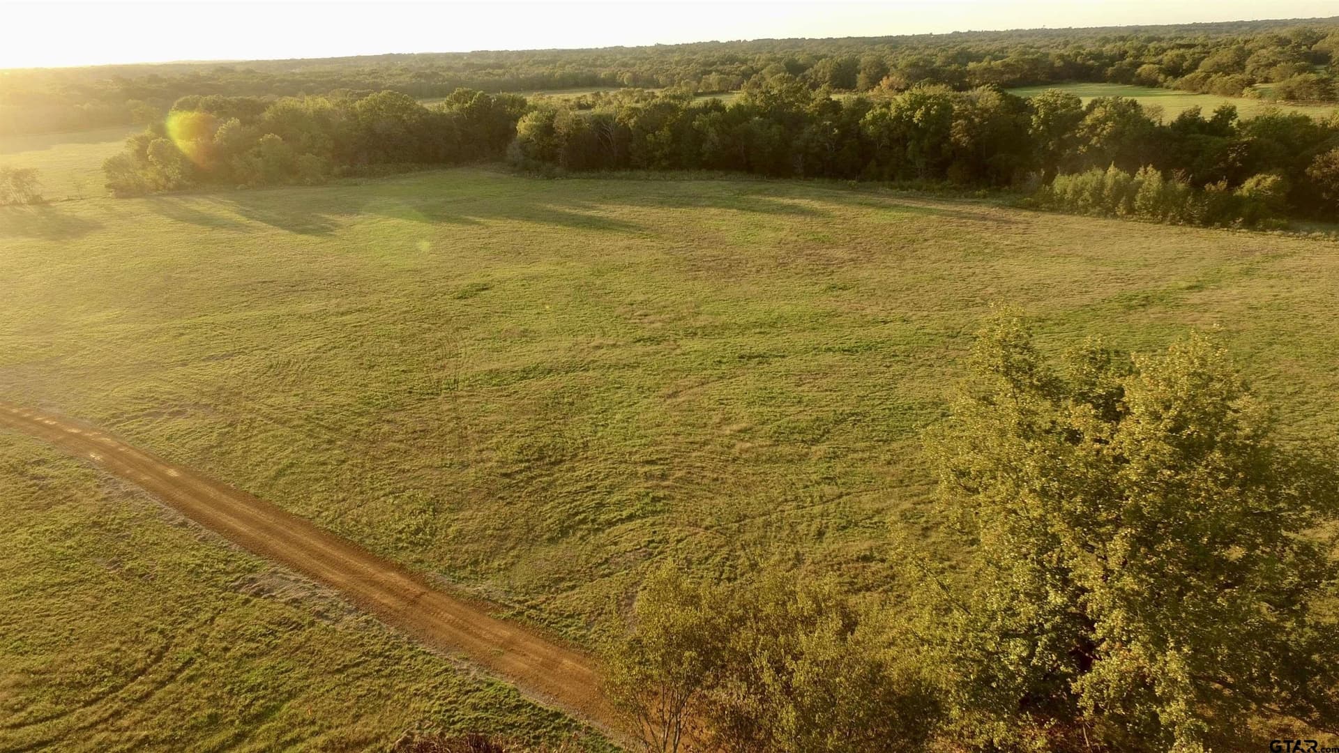 10.1 acres in Titus County gallery image 3