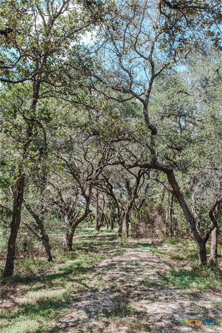 12.16 acres in Victoria County - photo 15