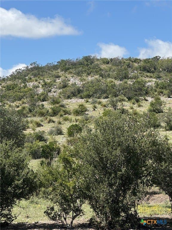 48.04 acres in Edwards County - photo 4