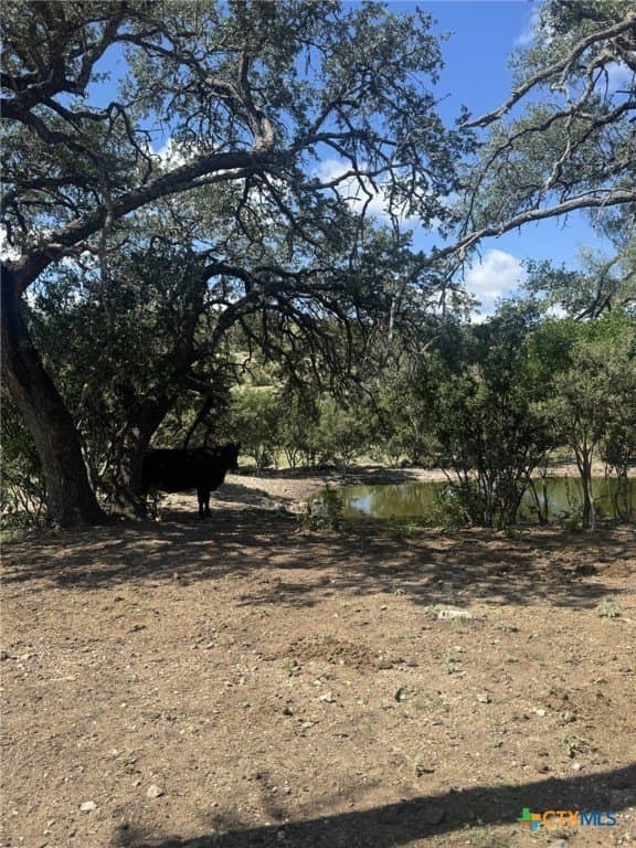 48.04 acres in Edwards County - photo 15