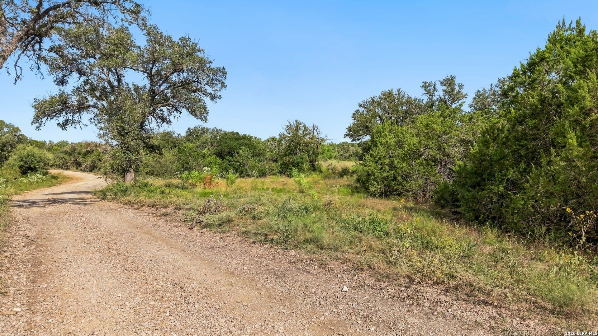 26.1 acres in Medina County - photo 9