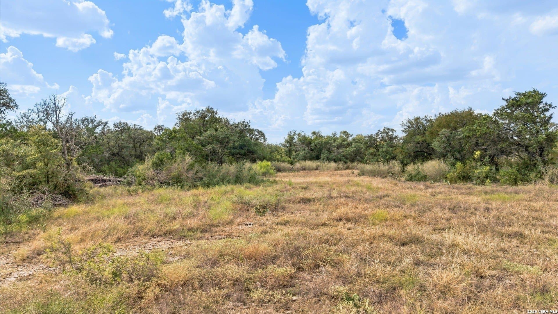 26.1 acres in Medina County - photo 12