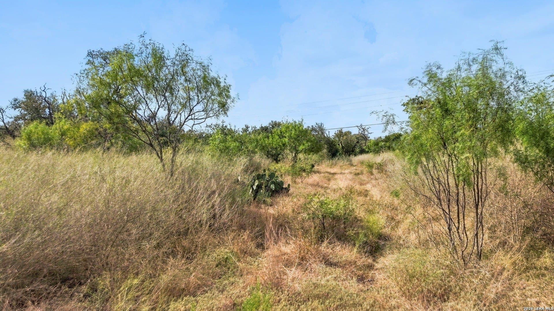 26.1 acres in Medina County - photo 13