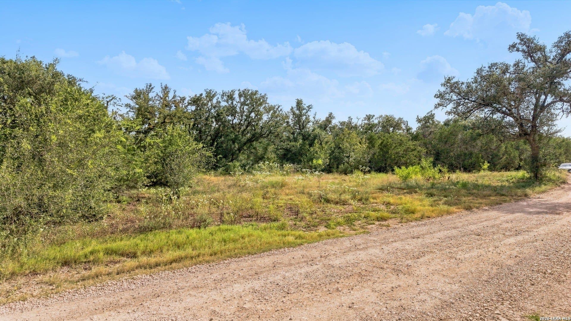 26.1 acres in Medina County - photo 14
