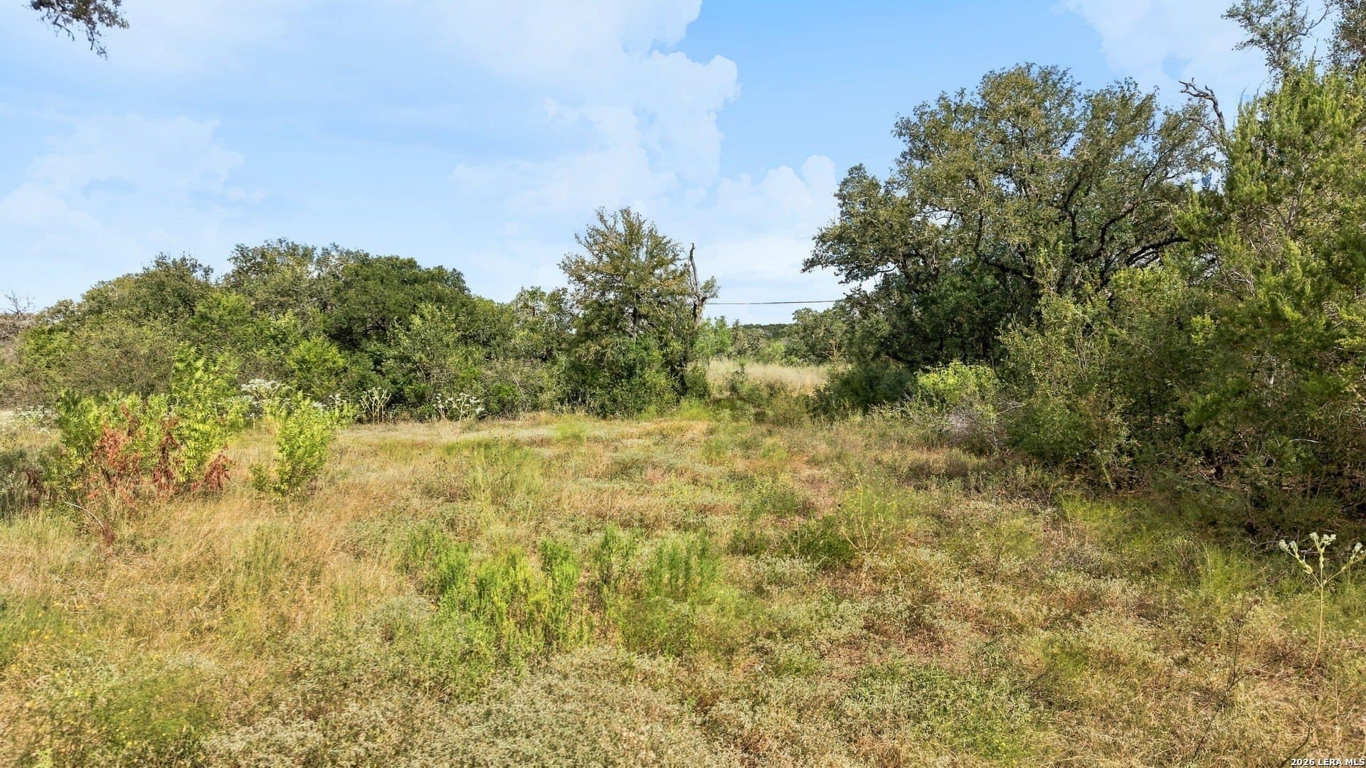 26.1 acres in Medina County - photo 11