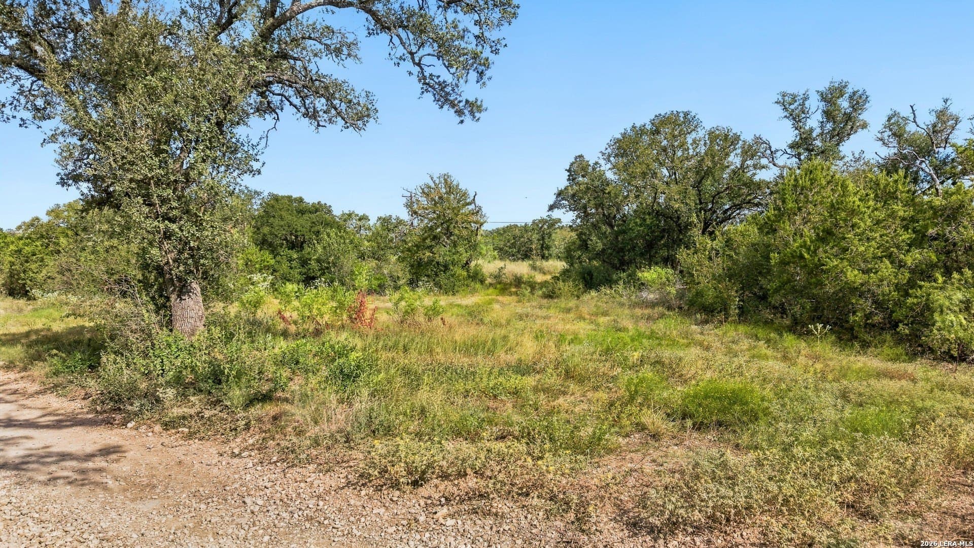 26.1 acres in Medina County - photo 10