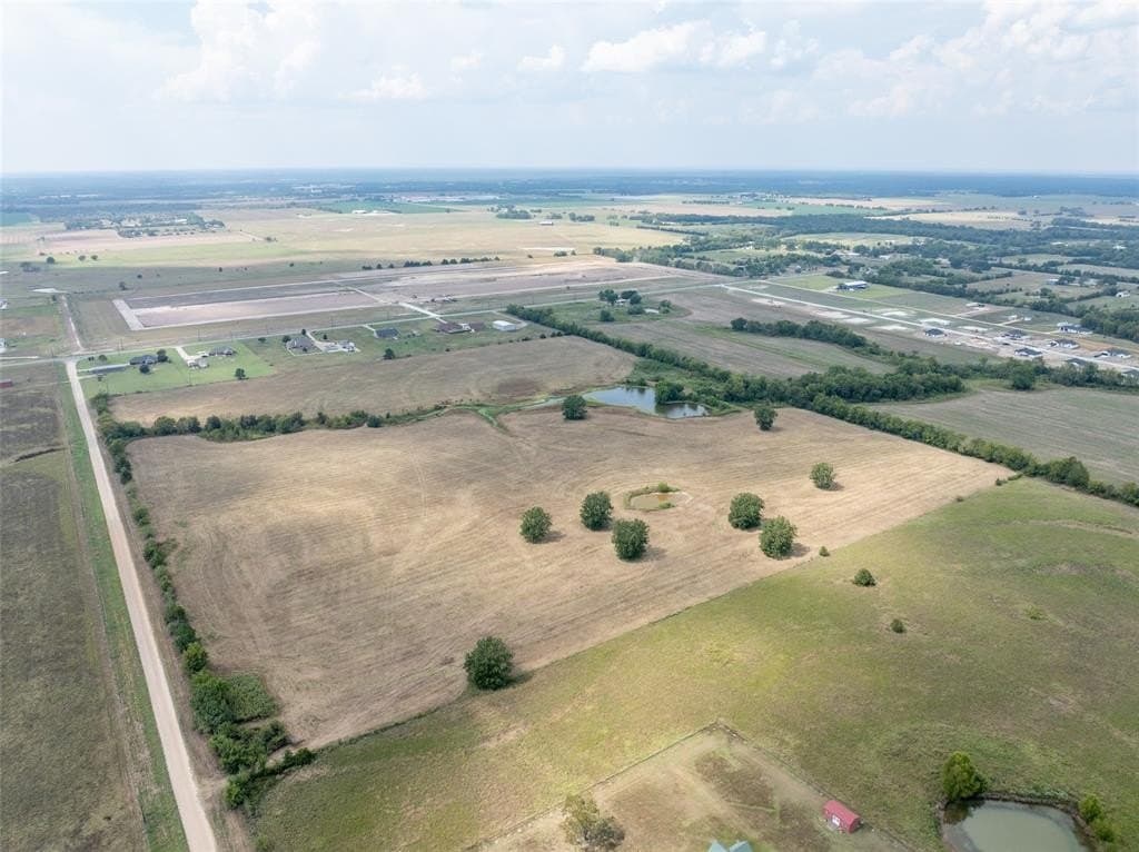 42.21 acres in Lamar County gallery image 4