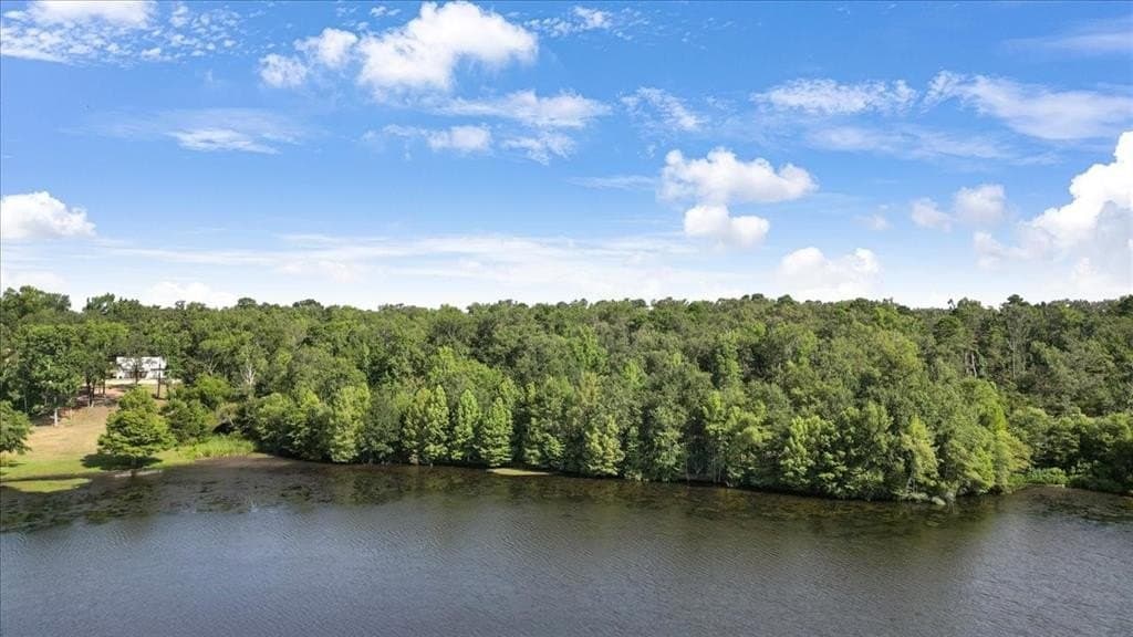 10.98 acres in Upshur County gallery image 4
