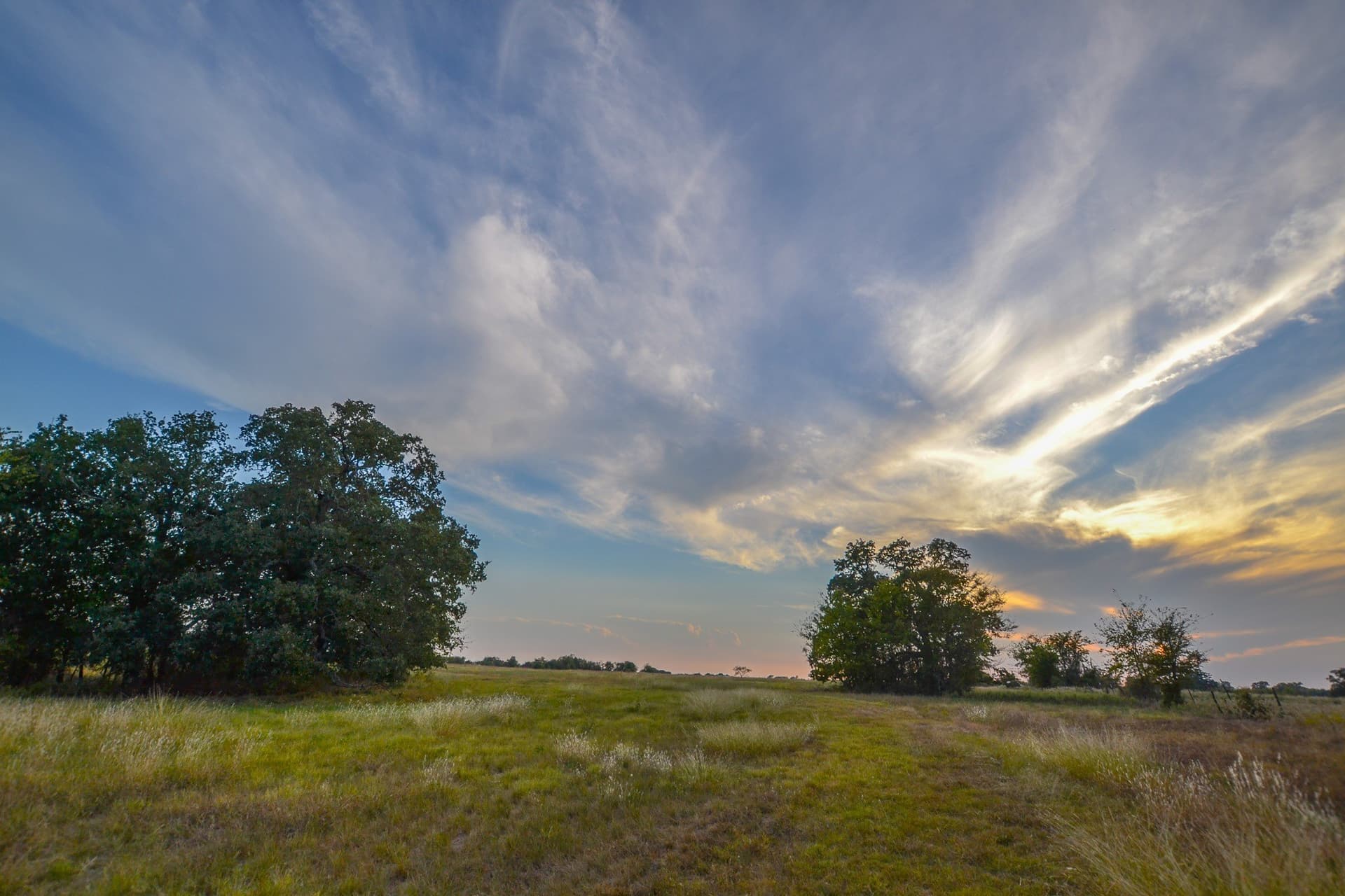 77 acres in Navarro County - photo 4