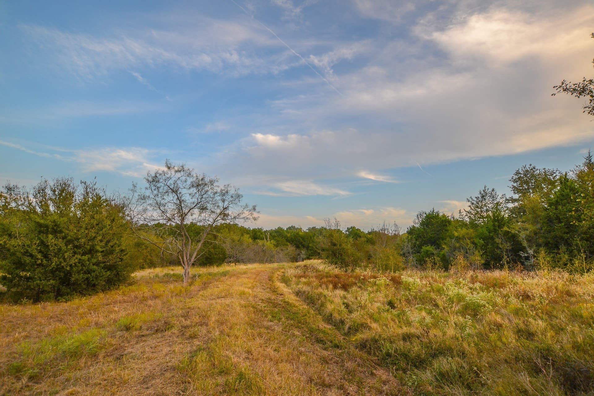 77 acres in Navarro County - photo 21