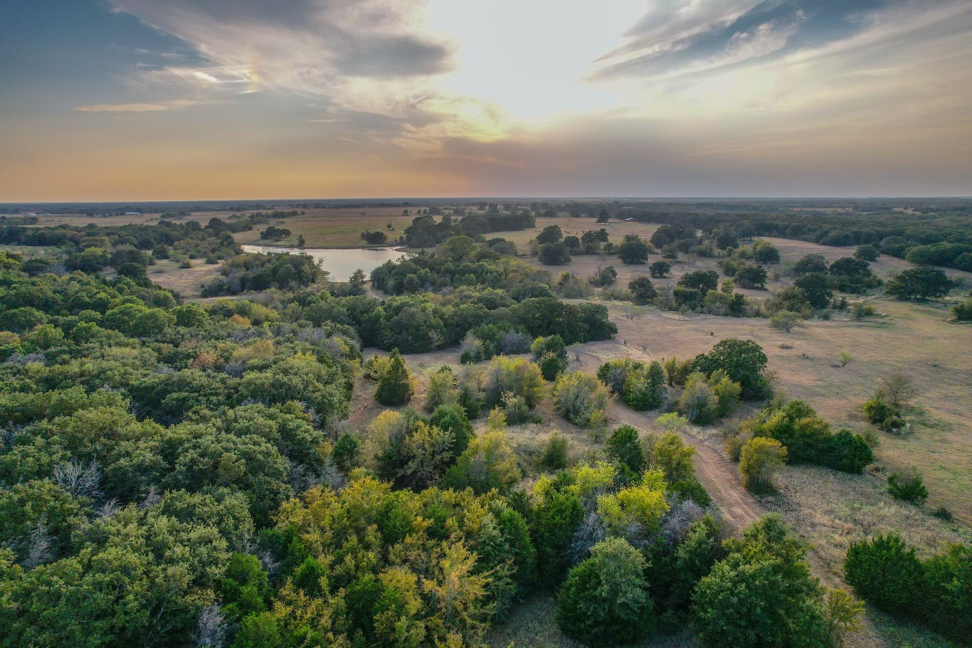 77 acres in Navarro County - photo 7