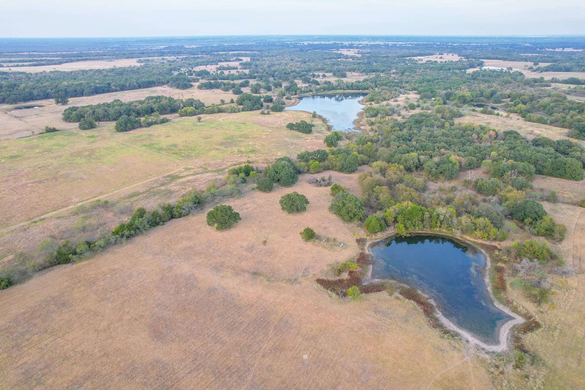 77 acres in Navarro County - photo 12