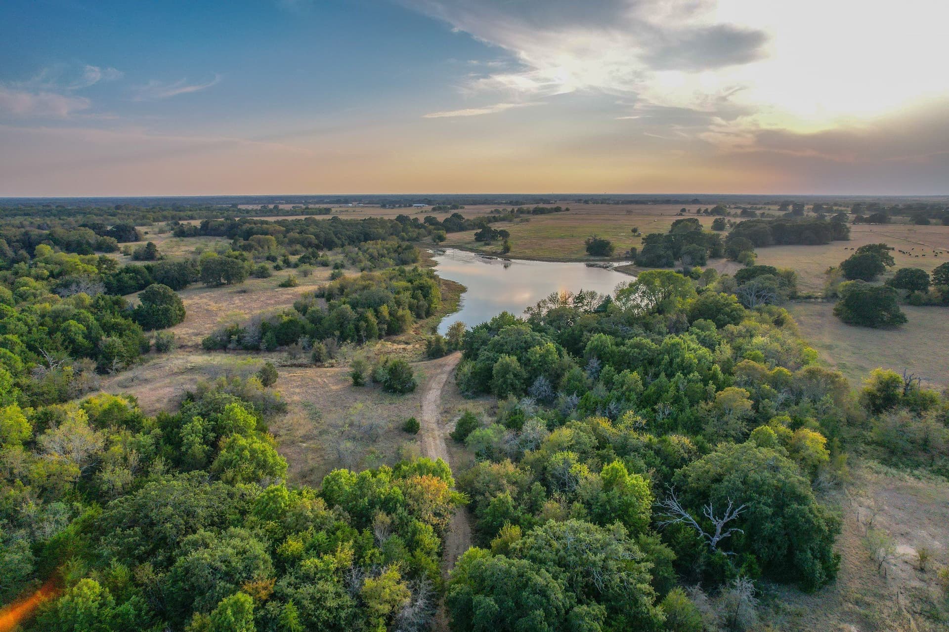 77 acres in Navarro County - photo 8