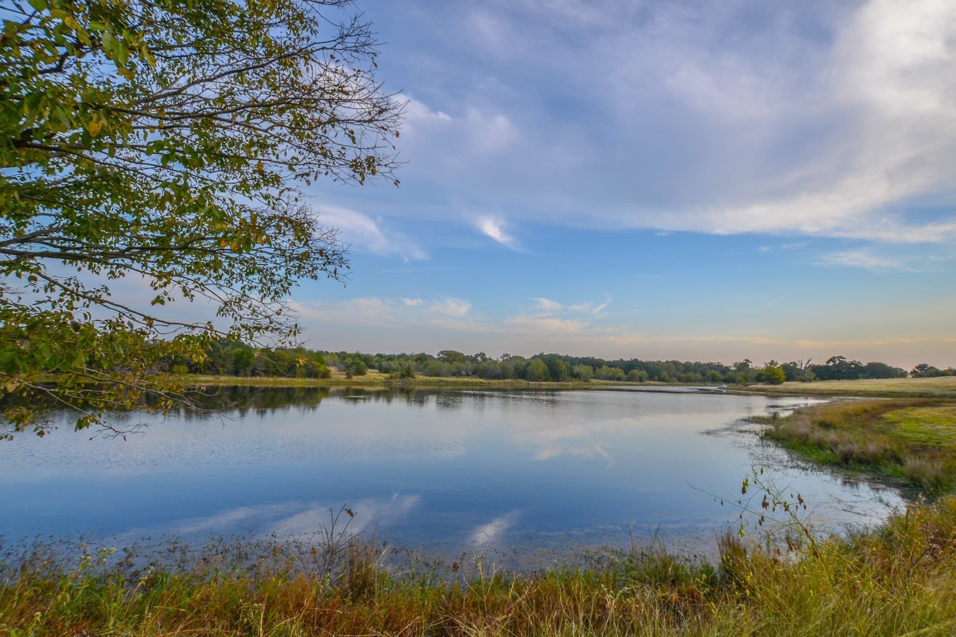 77 acres in Navarro County - photo 15