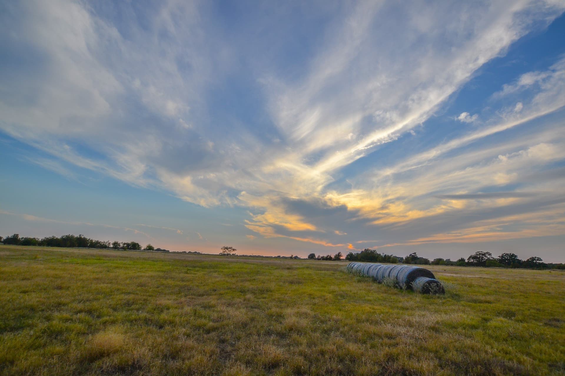 77 acres in Navarro County - photo 3