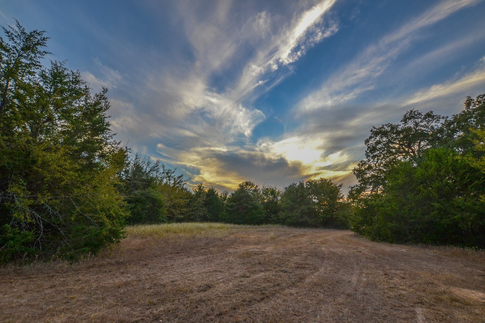 77 acres in Navarro County - photo 19