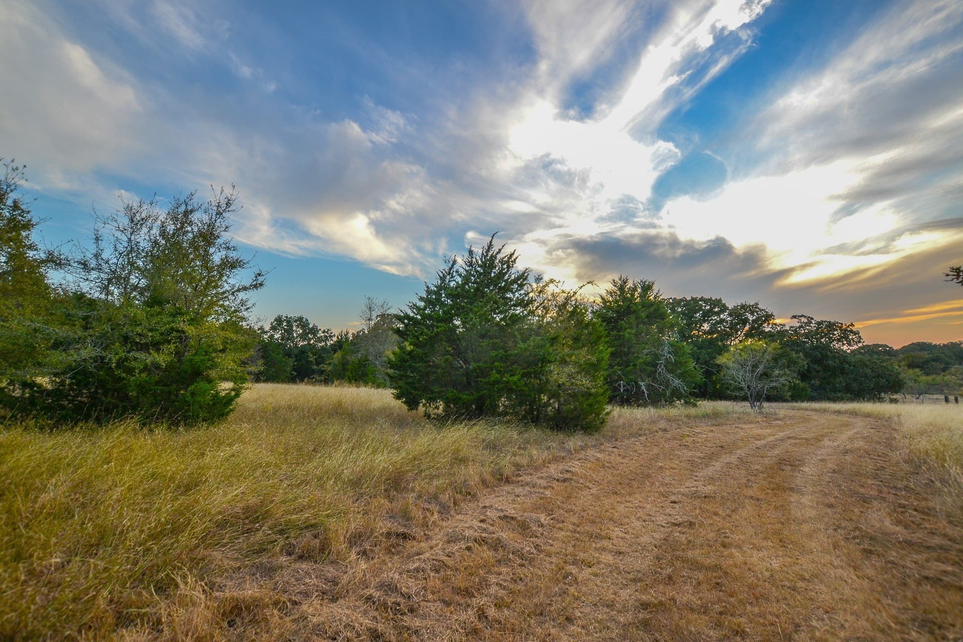 77 acres in Navarro County - photo 18