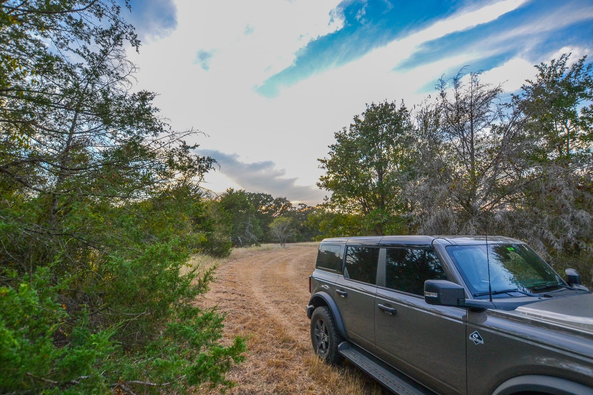 77 acres in Navarro County - photo 20