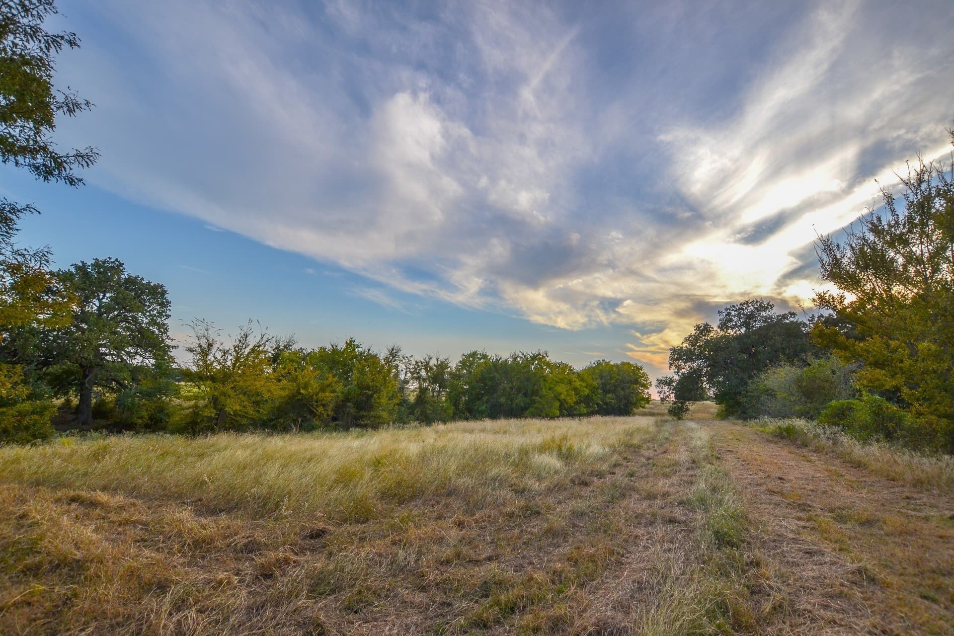 77 acres in Navarro County - photo 16