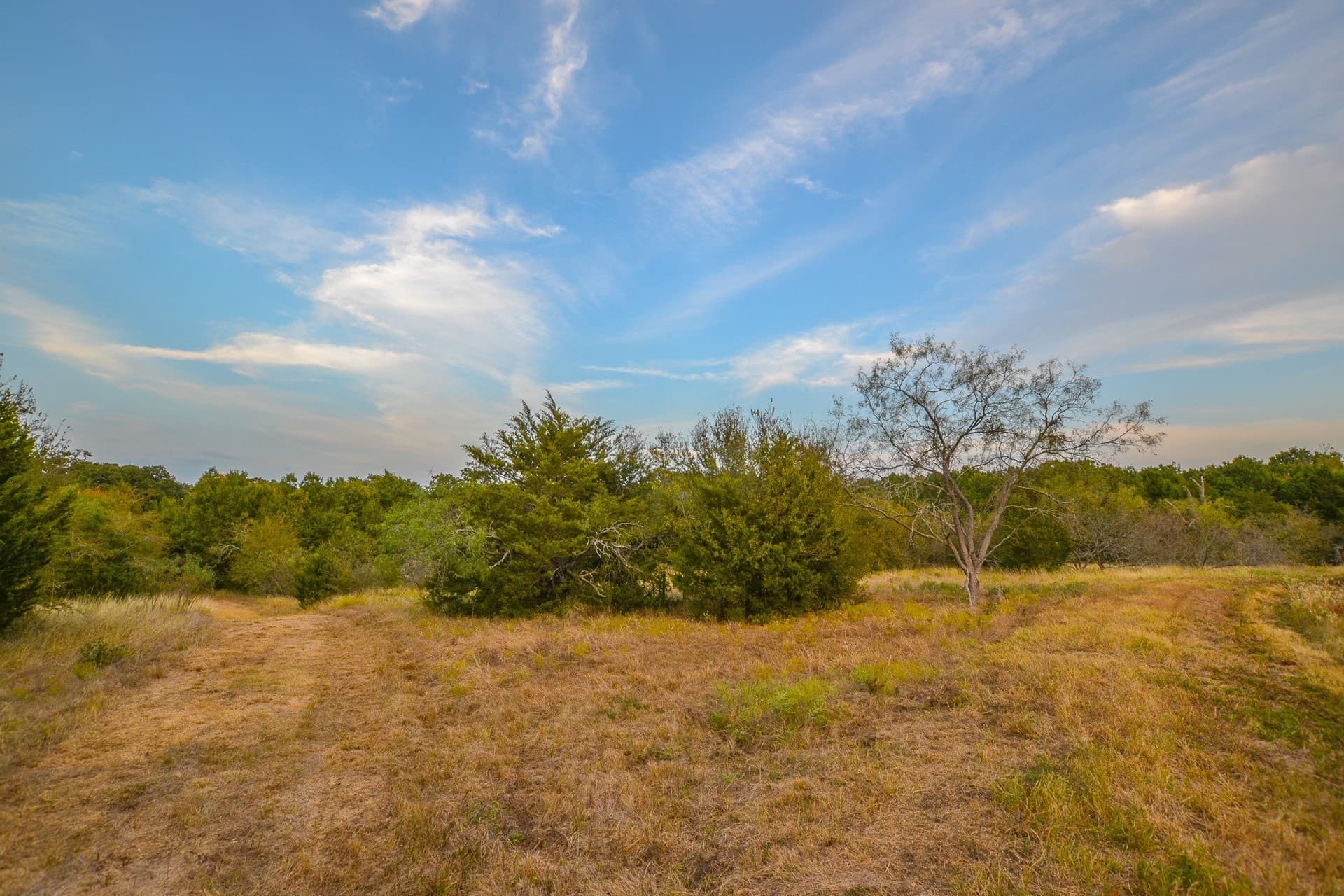 77 acres in Navarro County - photo 22