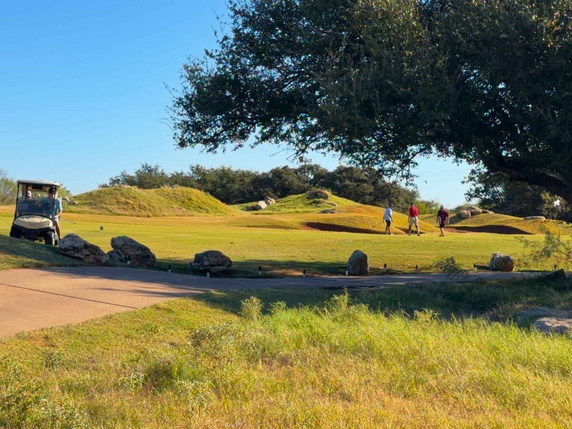 0.22 acres in Palo Pinto County - photo 2