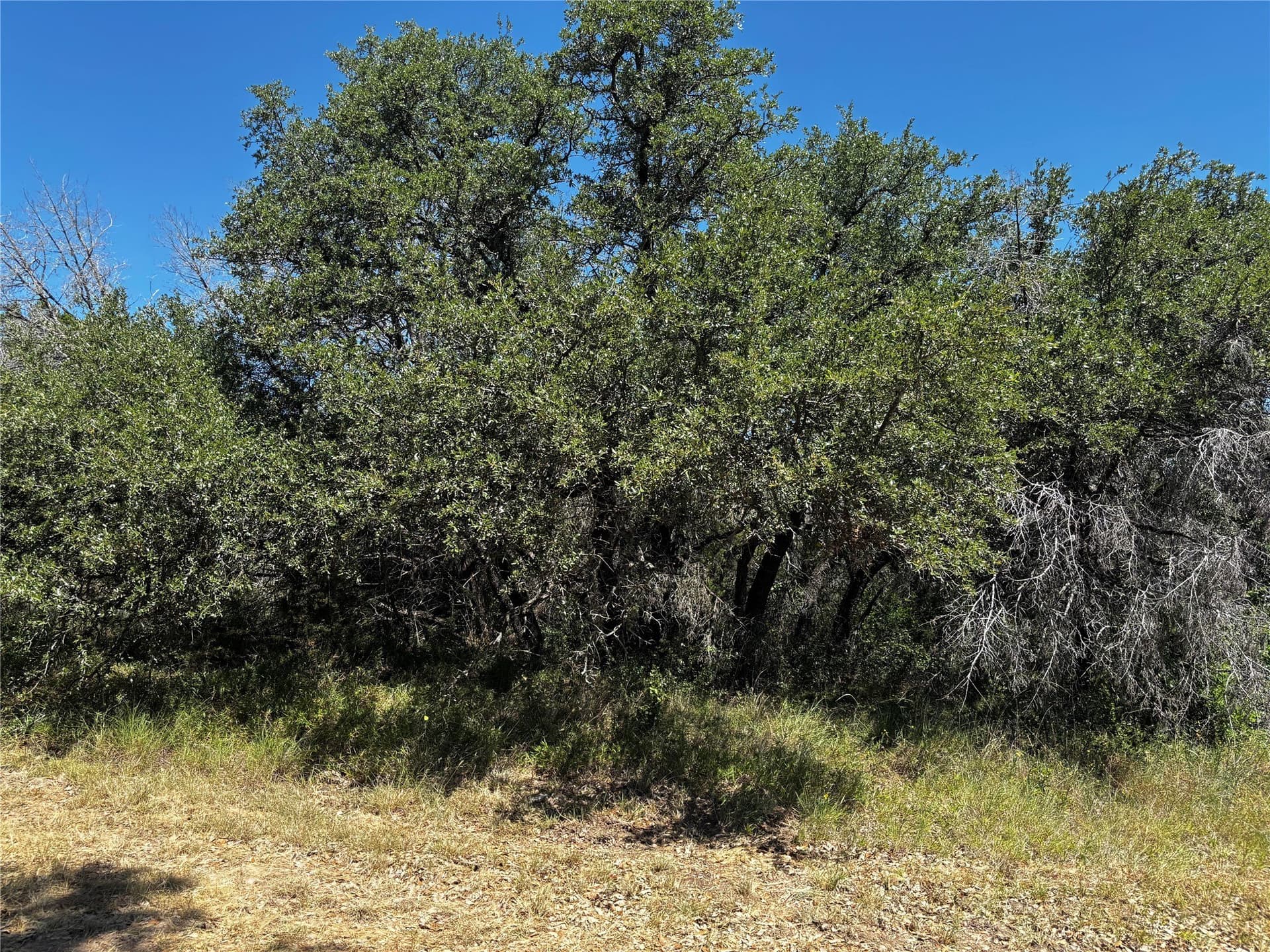 30.8 acres in Erath County - photo 24