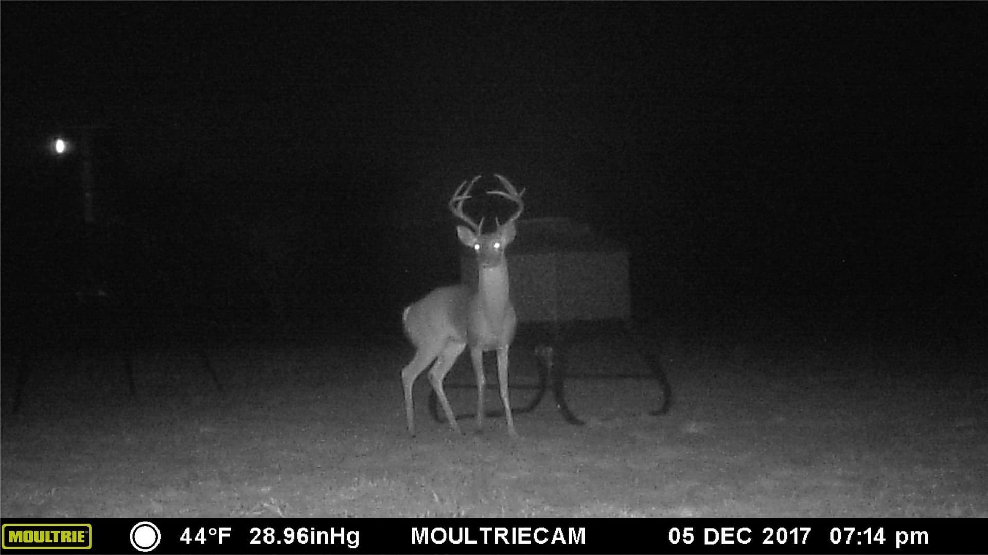 30.8 acres in Erath County - photo 16