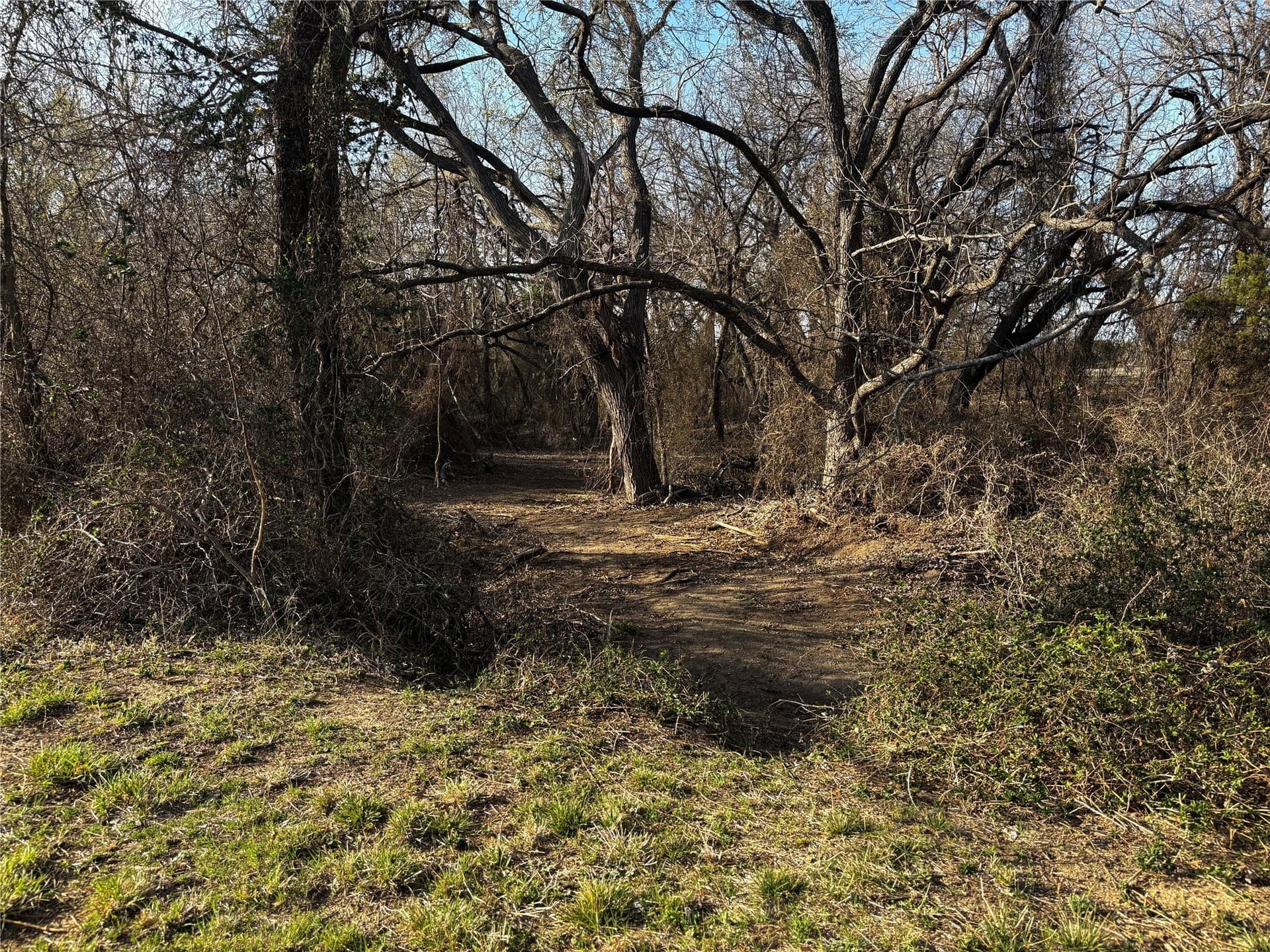 30.8 acres in Erath County - photo 12