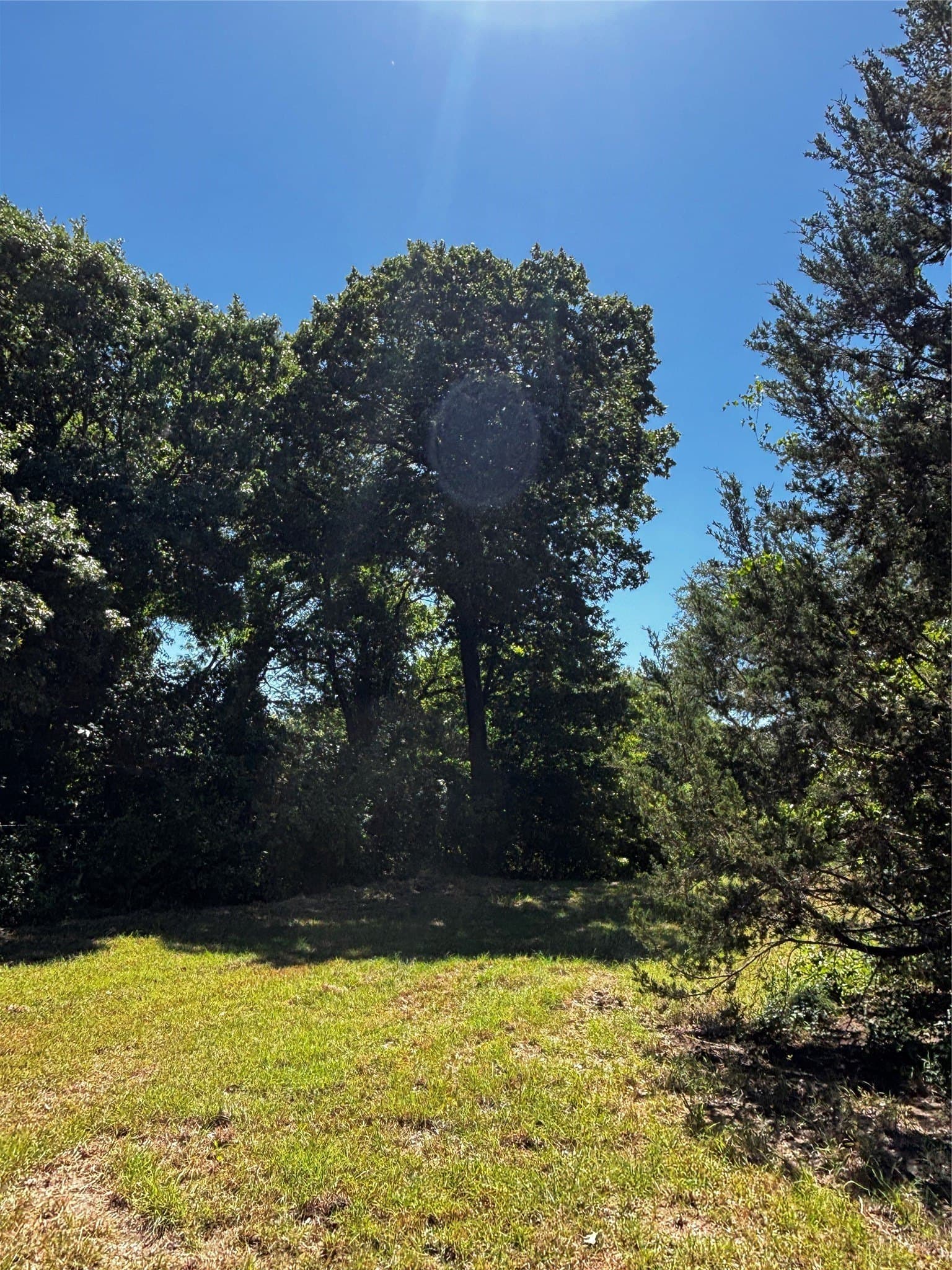30.8 acres in Erath County - photo 25