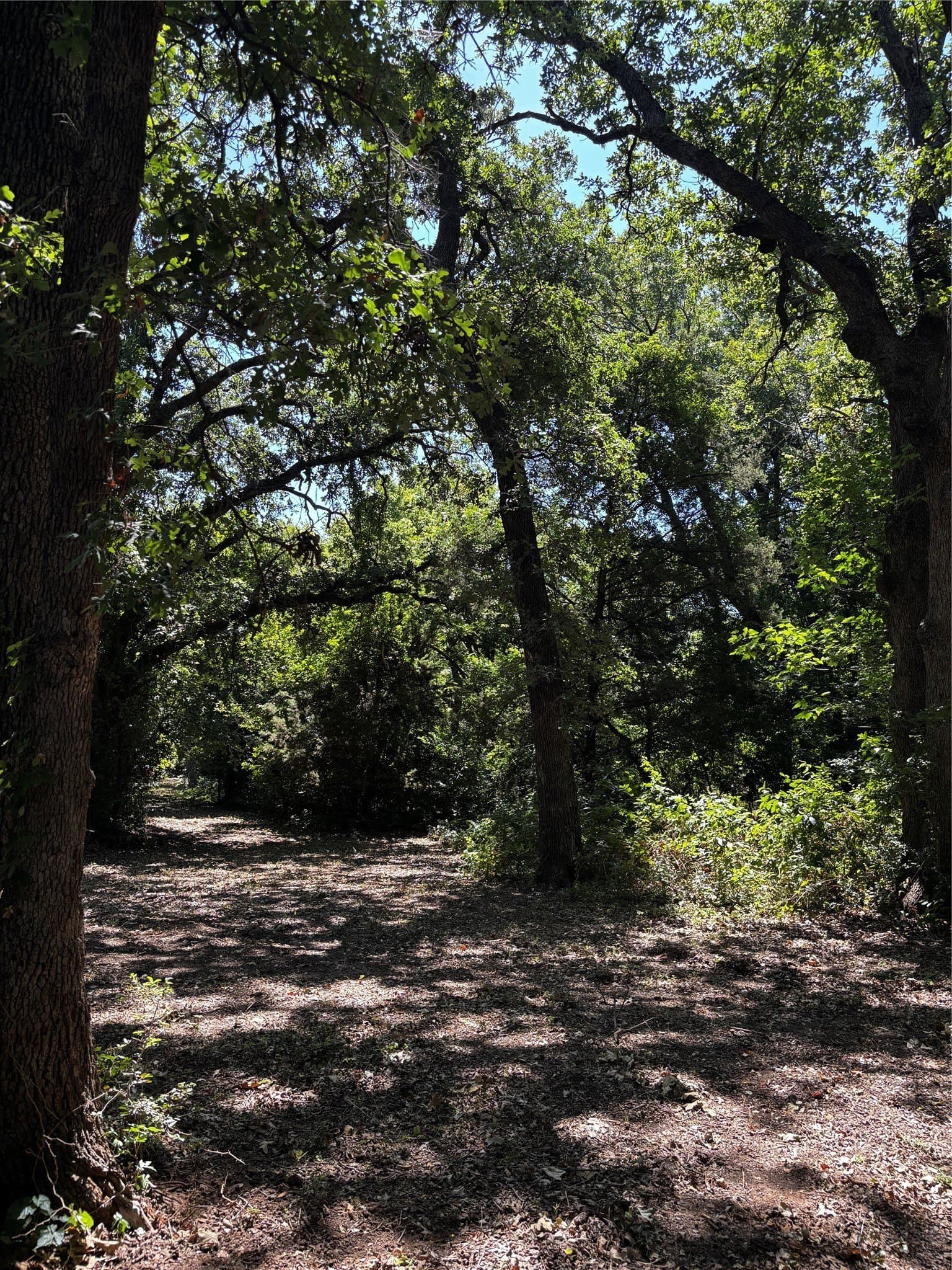 30.8 acres in Erath County - photo 28