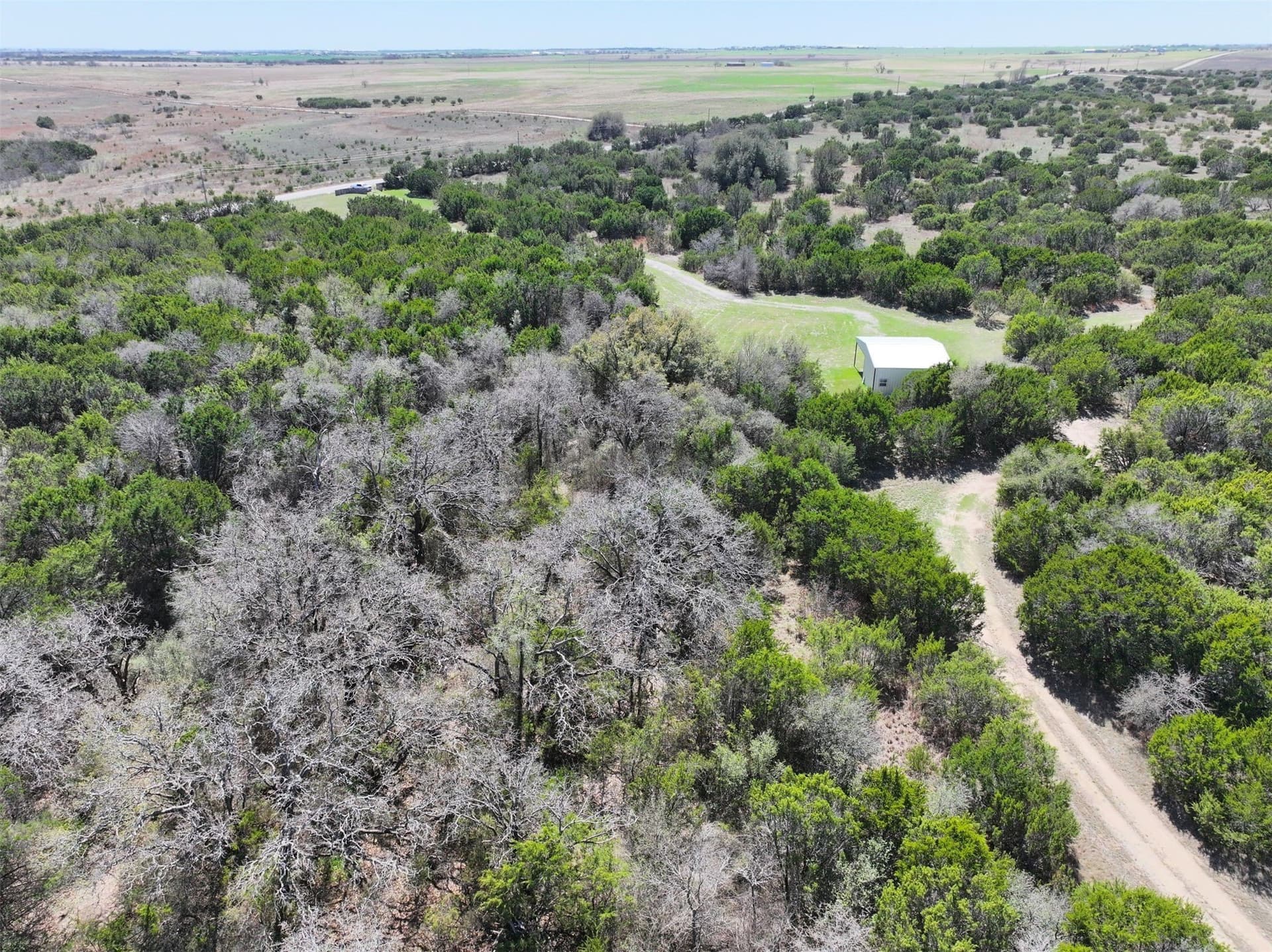 30.8 acres in Erath County - photo 10