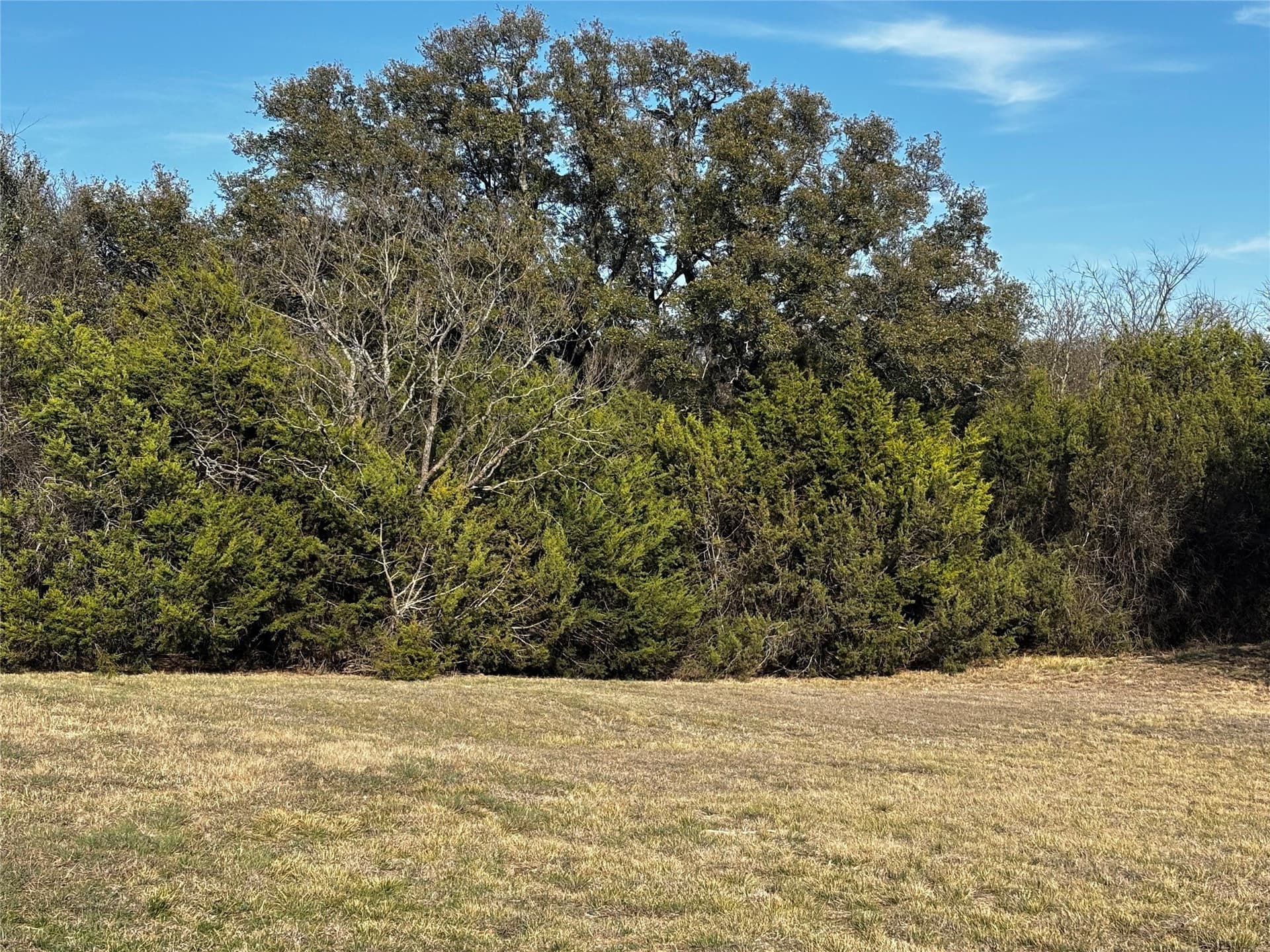 30.8 acres in Erath County gallery image 2