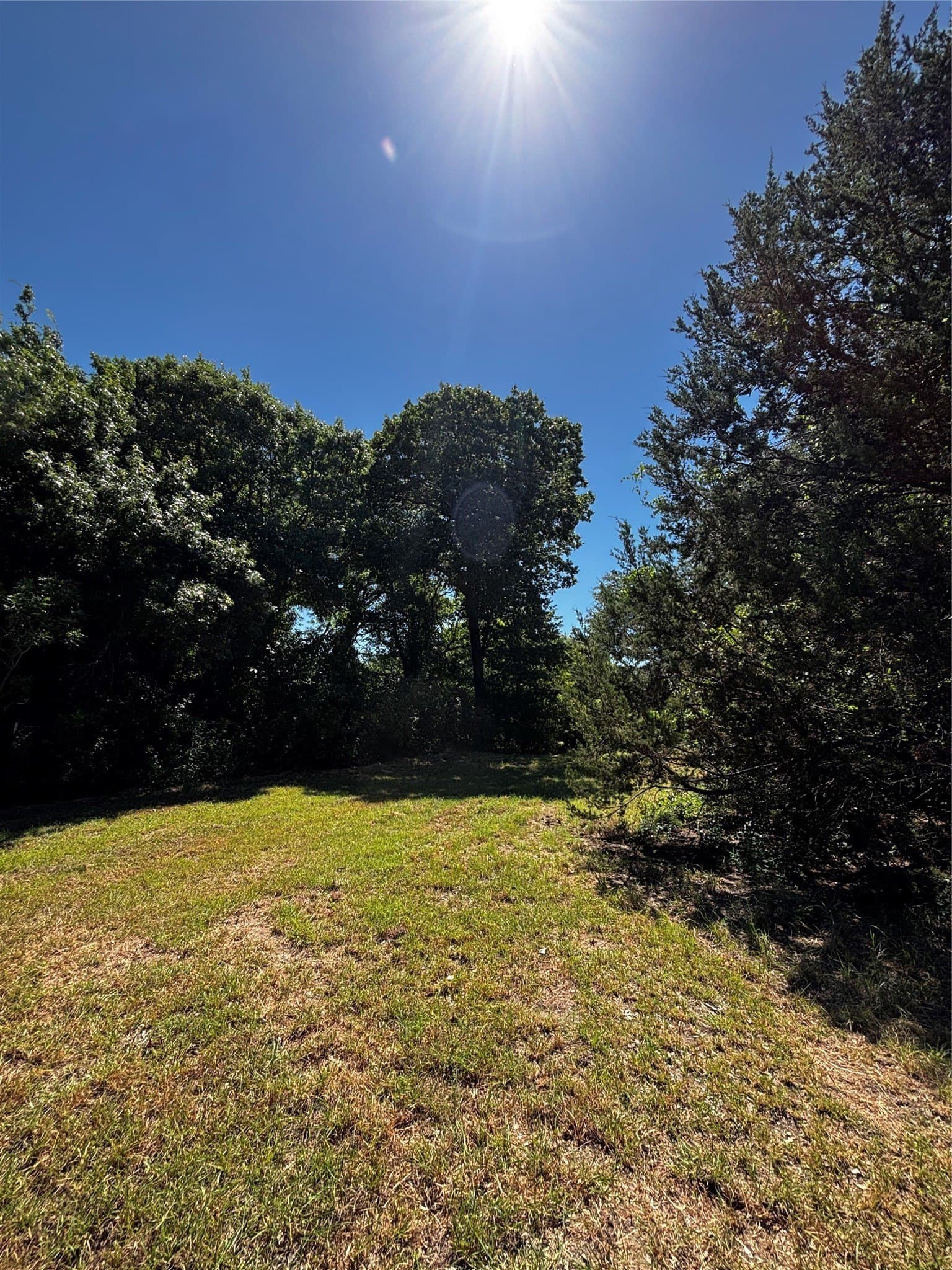 30.8 acres in Erath County - photo 26
