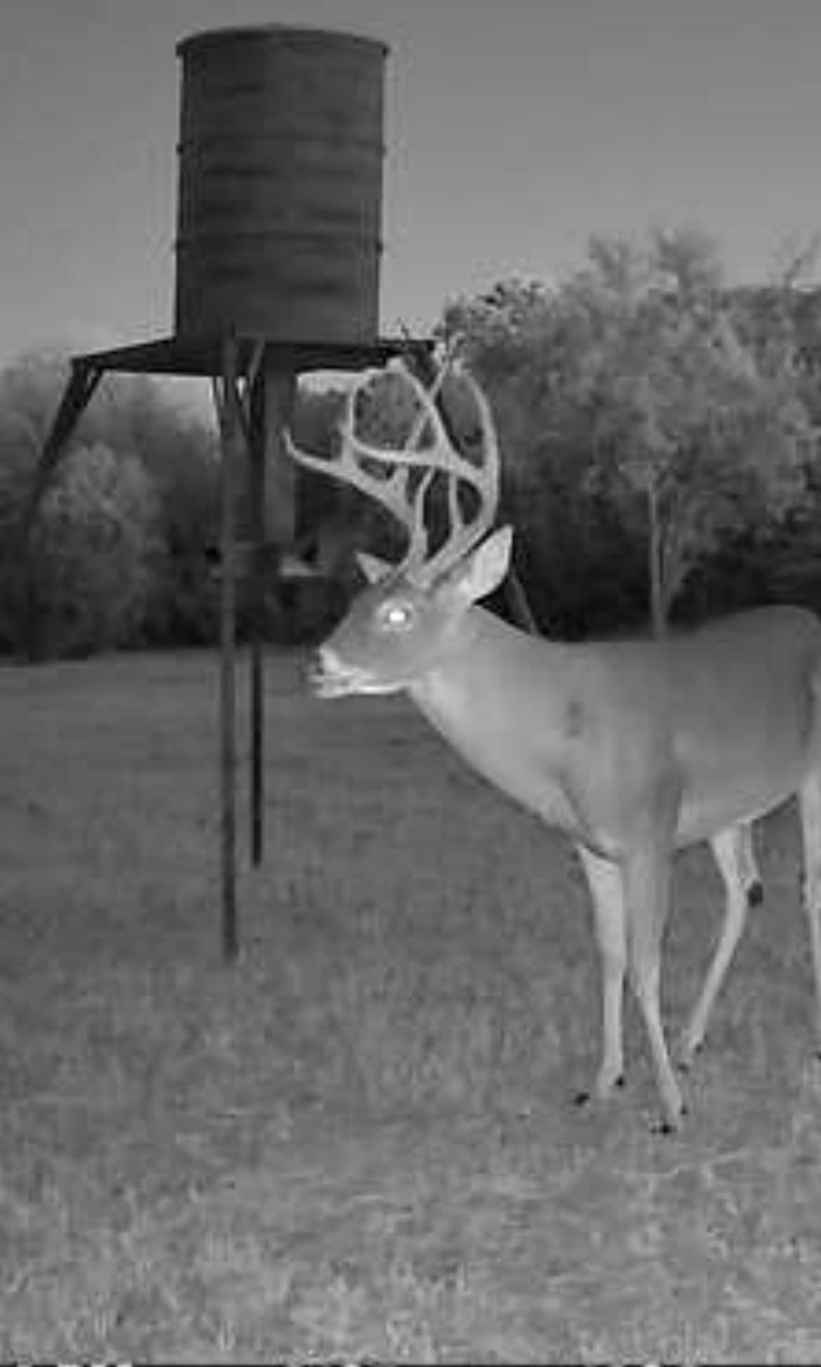30.8 acres in Erath County - photo 15
