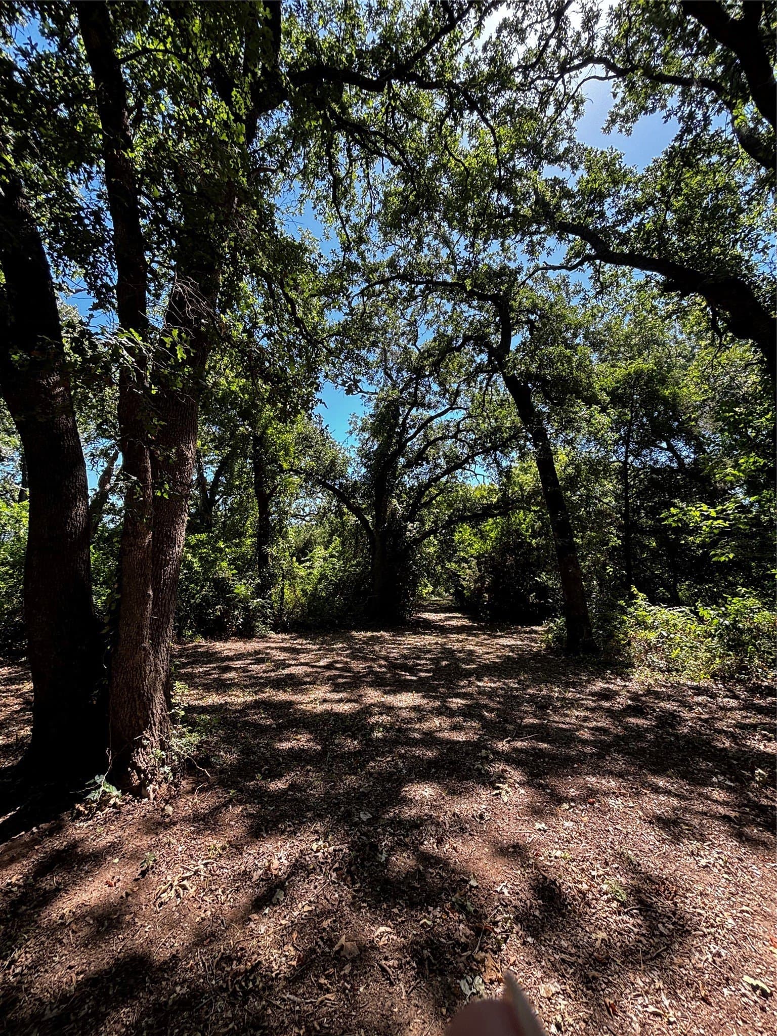 30.8 acres in Erath County - photo 27