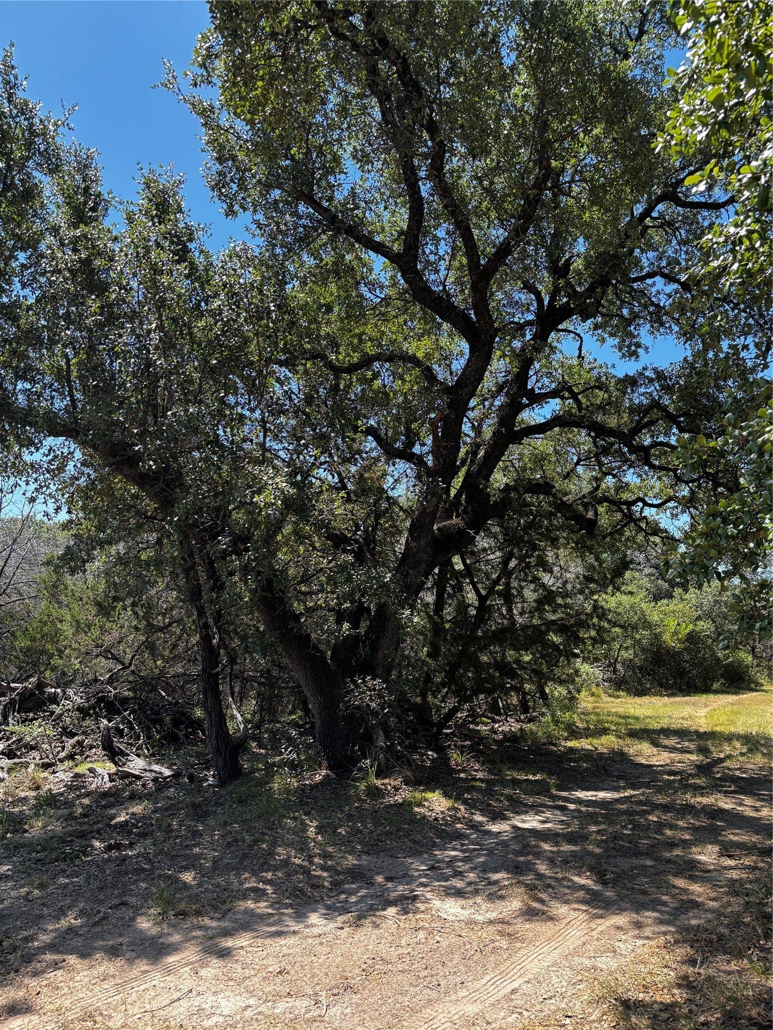 30.8 acres in Erath County - photo 22